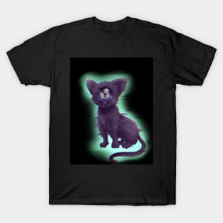 What a weird cat T-Shirt